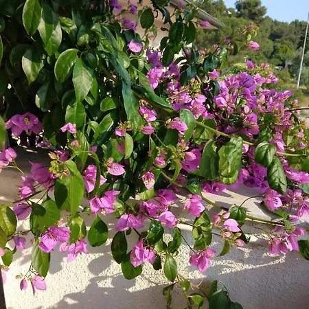 Luna Tsuki Six Aparthotel